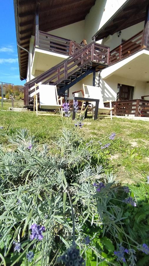 Apartman Draskovic - Goc Bagian luar foto